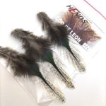 Perie Hends Coq de Leon 306