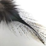 Perie Hends Coq de Leon 306