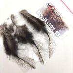 Perie Hends Coq de Leon 331